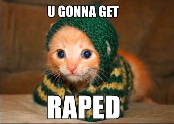 1169988171-Gonna_get_raped_cat_b.jpg