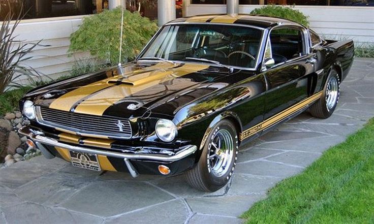 1966_Ford_Shelby_Mustang.jpg