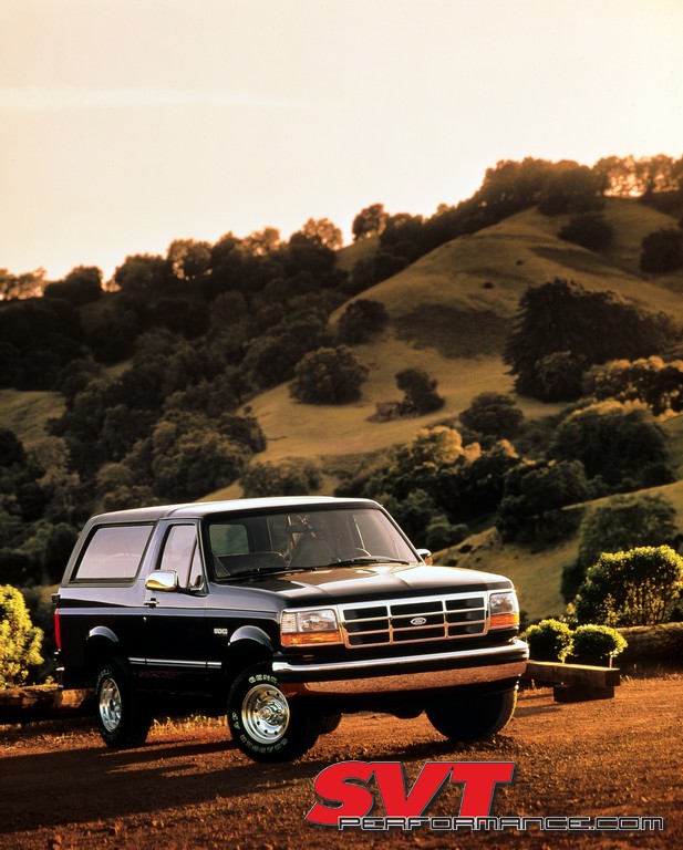 1995-Ford-Bronco-XL-neg-N315007-001.jpg