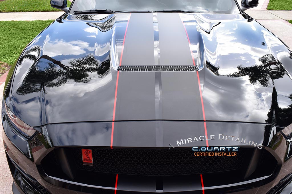 2019-Mustang-GT-R--1-AMD.jpg