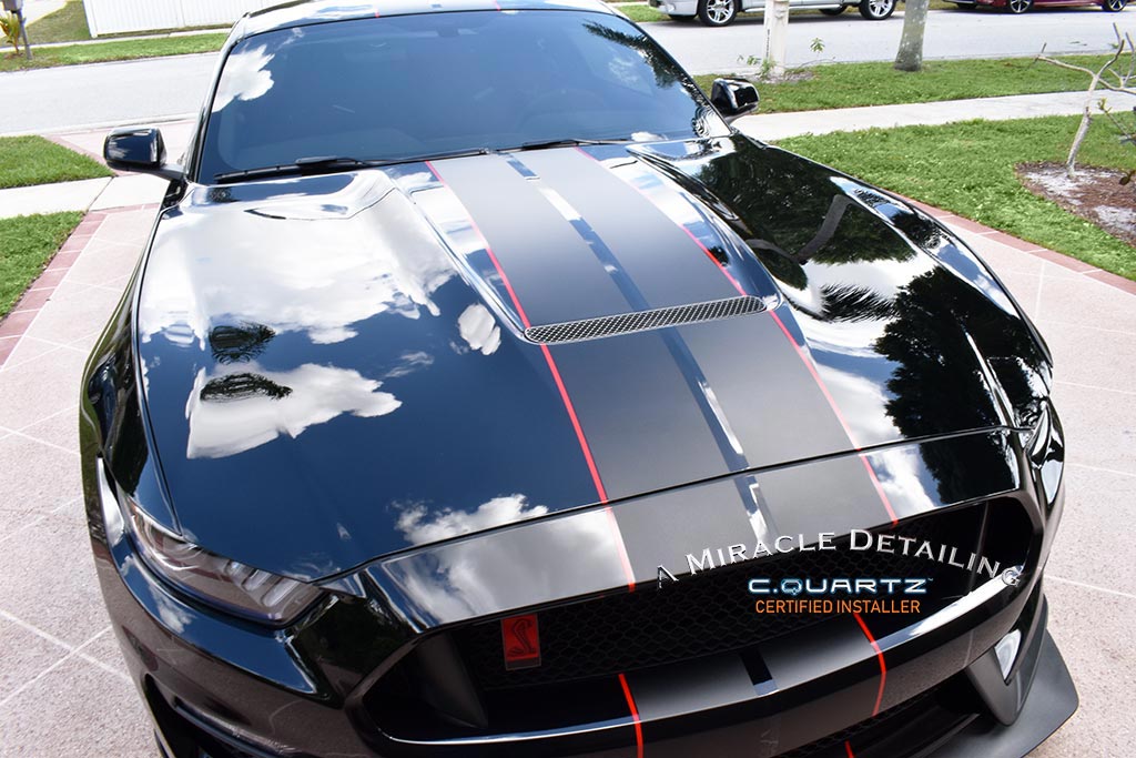 2019-Mustang-GT-R-1-AMD.jpg