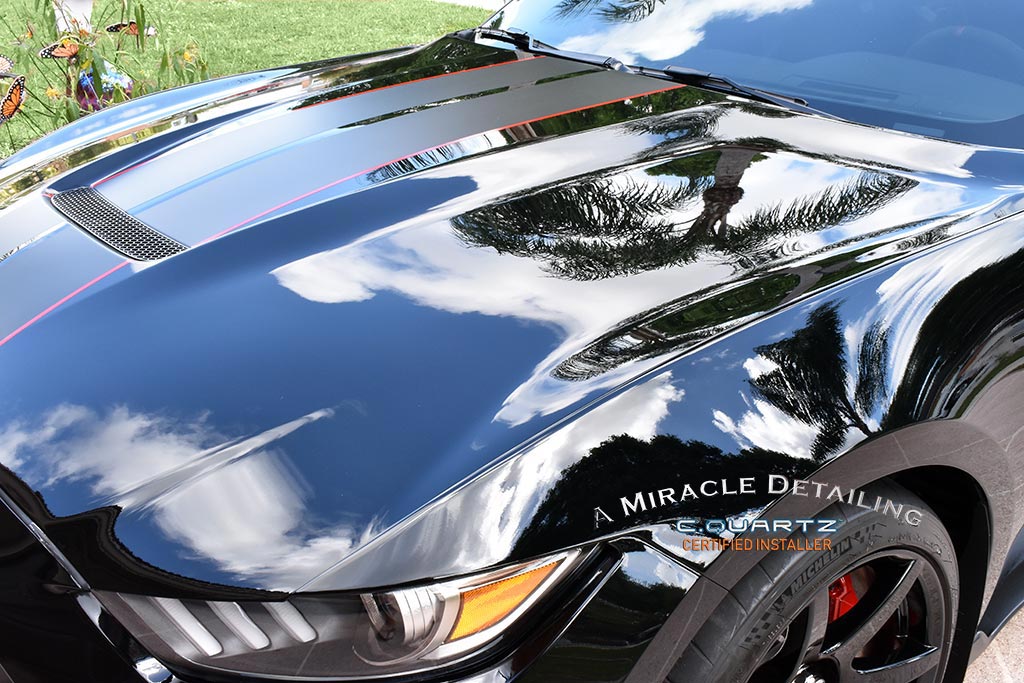 2019-Mustang-GT-R-3-AMD.jpg