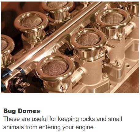 Air bug domes.jpg