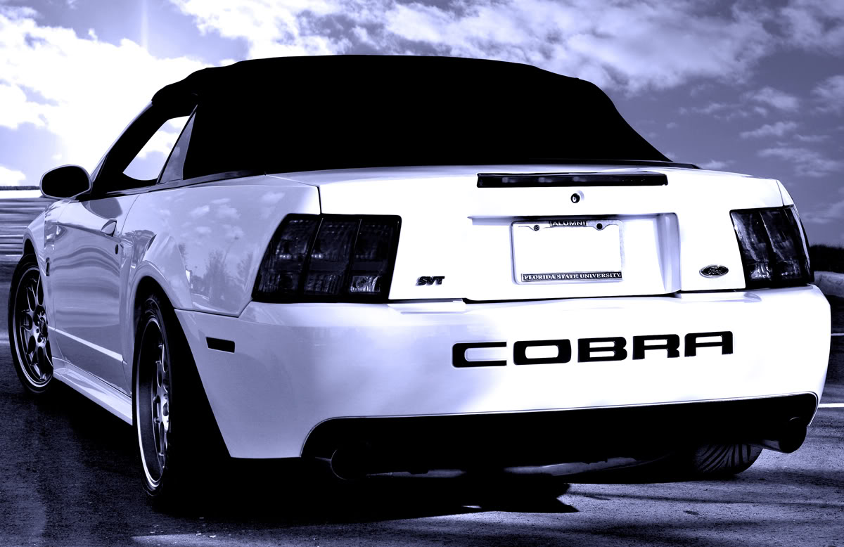 Cobra-New-bw.jpg