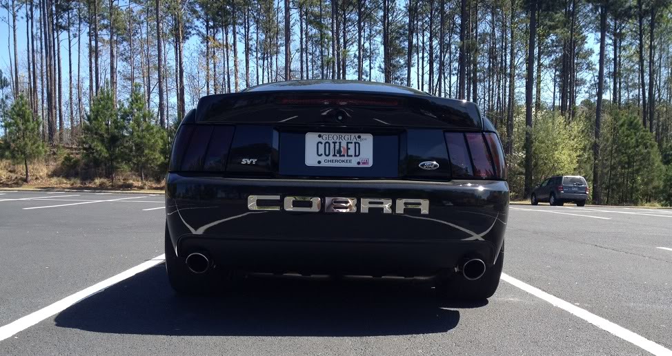 Cobra-Rear.jpg