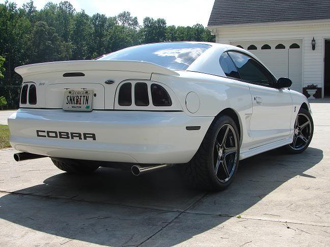 Cobra004.jpg