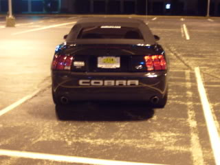 Cobra017.jpg