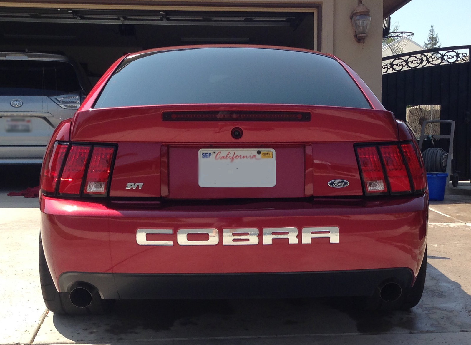 Cobra2.jpg