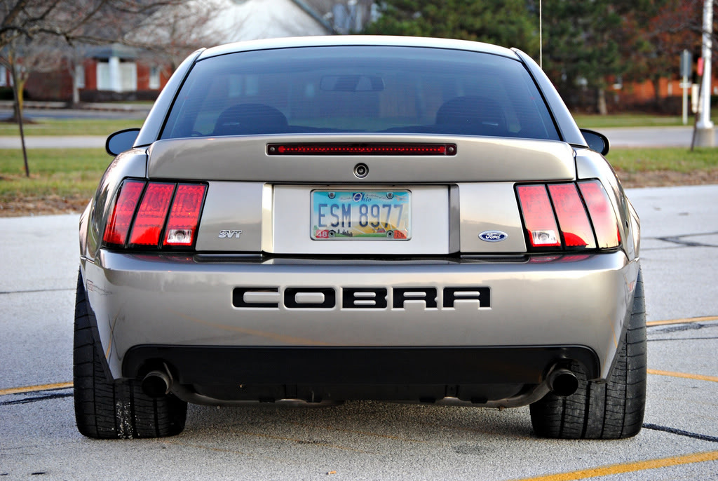 Cobra6.jpg