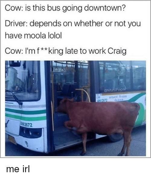 cow-is-this-bus-going-downtown-driver-depends-on-whether-22466260.jpeg