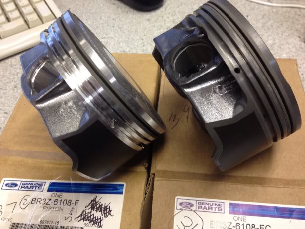 Coyote2011-12and2013Pistons-02s.jpg