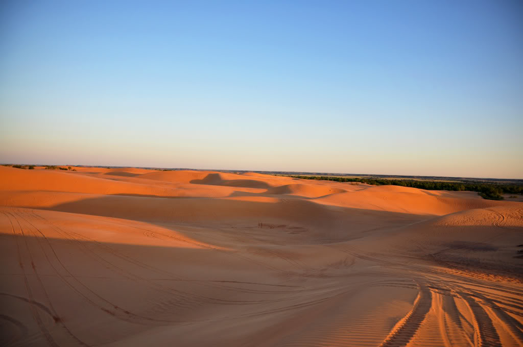 dunes4.jpg