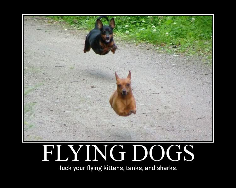 flying_dogs.jpg