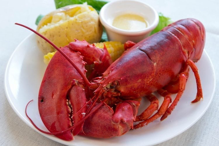 fresh-live-lobster-9.jpg