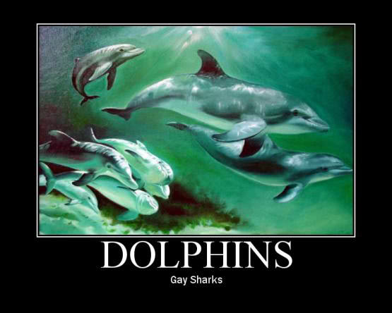gay_sharks.jpg