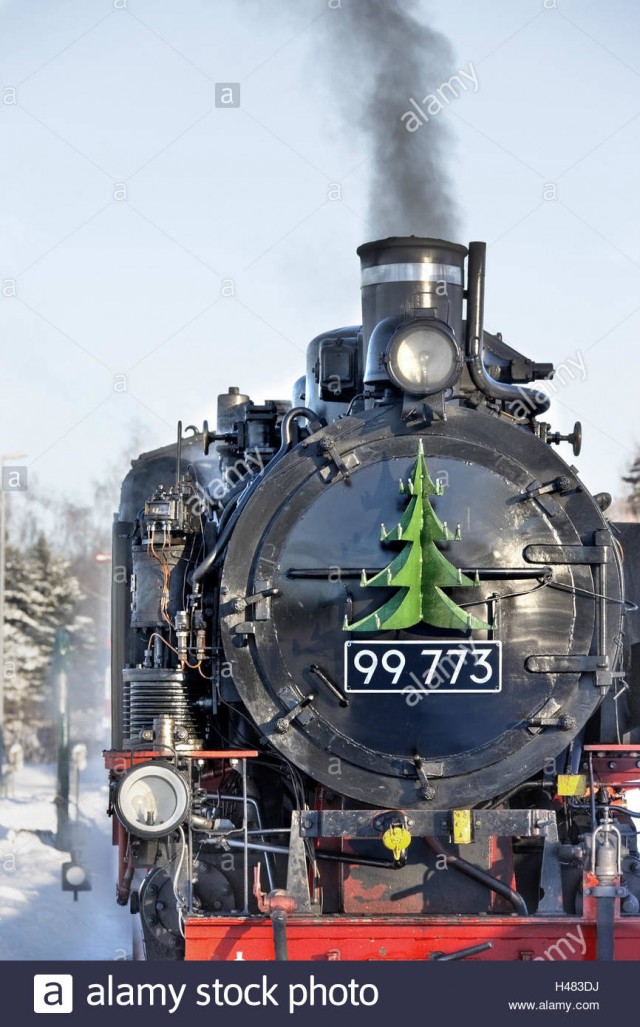 germany-saxony-cranzahl-locomotive-front-view-close-up-H483-DJ.jpg