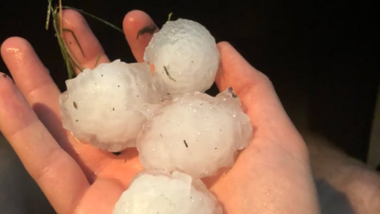 golf-ball-sized-hail-in-manitou-during-southern-manitoba-storm.jpg
