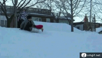 Grand-theft-sled.gif
