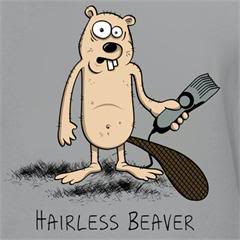 Hairless_Beaver-ubnvm3-d.jpg