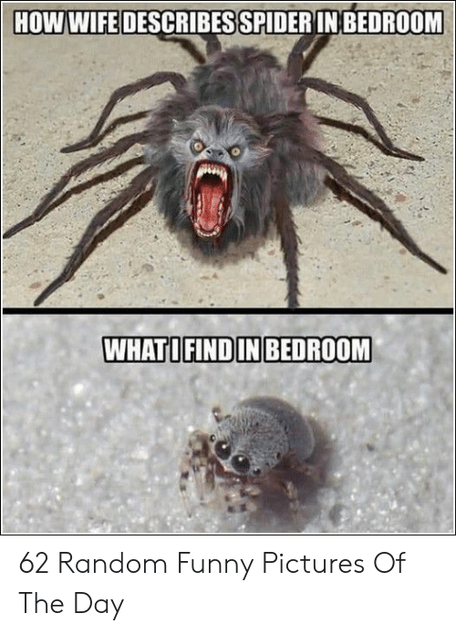 how-wife-describes-spiderin-bedroom-whatofindin-bedroom-62-random-funny-54954953.png