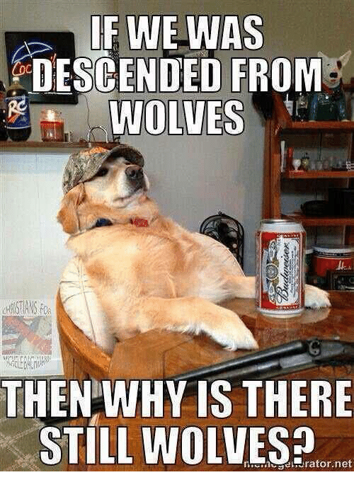if-we-was-descended-from-wolves-then-why-is-there-6209264.png