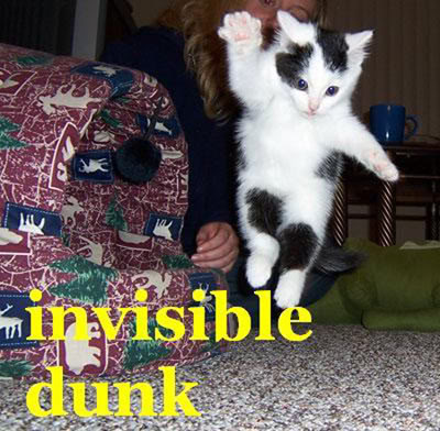 invisible-dunk.jpg
