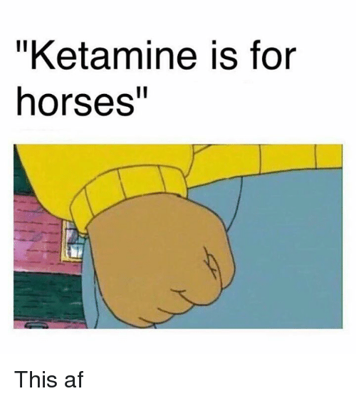 ketamine-is-for-horses-this-af-3228787.png