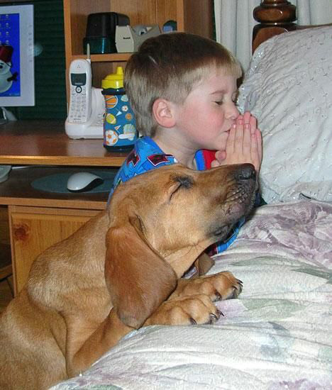 kid-dog-praying.jpg