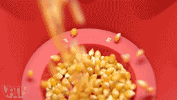 Make-Healthy-Popcorn-in-the-Blooming-PopTop-Popper_large.gif