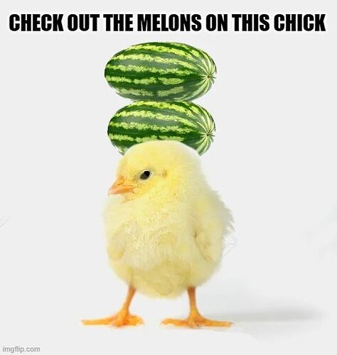 melons.jpeg