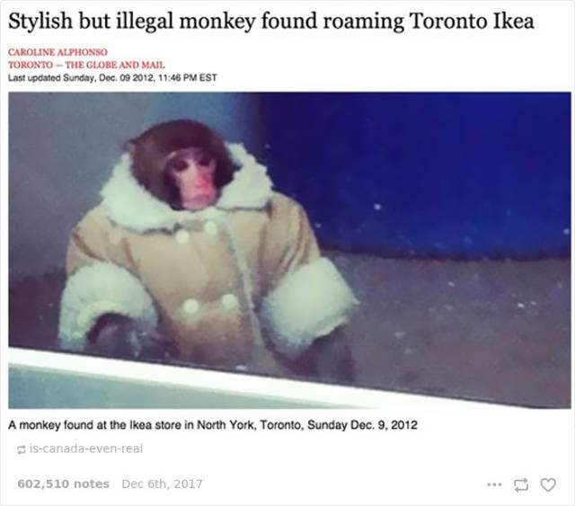 memes_about_canada_are_as_cool_as_the_country_itself_640_27.jpg