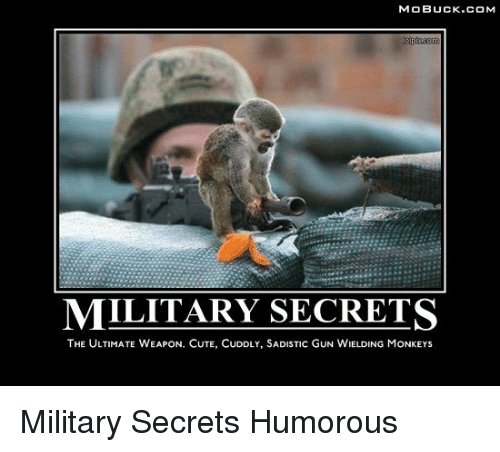 mobuck-com-military-secrets-the-ultimate-weapon-cute-cuddly-sadistic-gun-6952518.jpeg