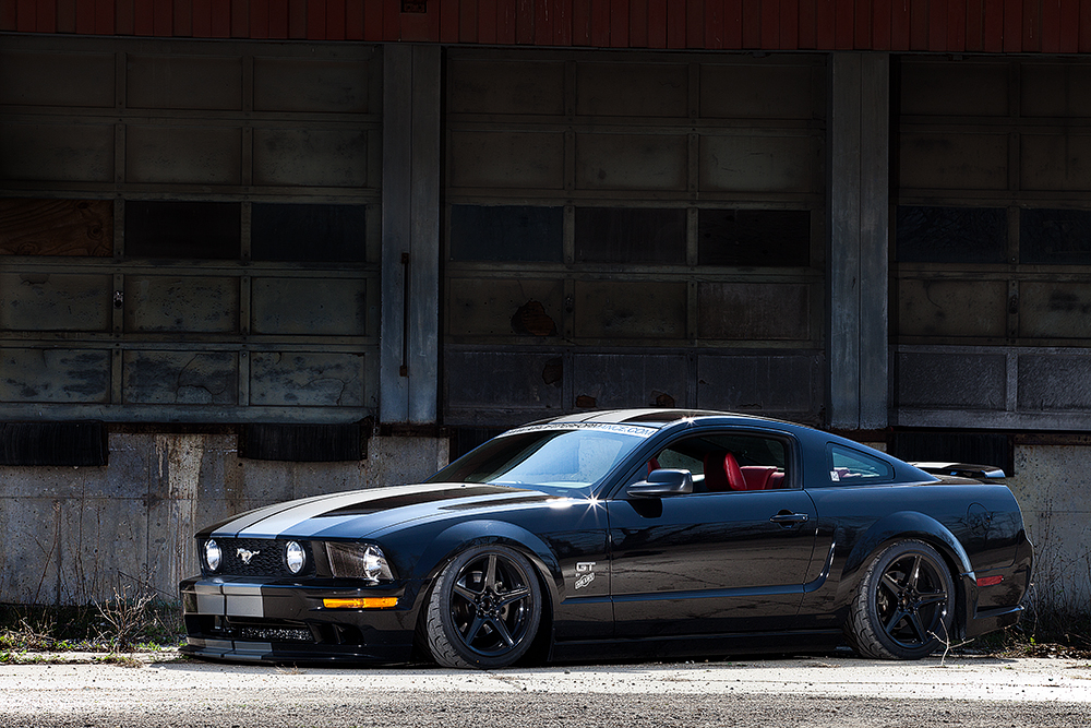 Mustang-1_zps5aff90c6.jpg