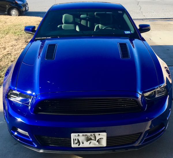 Mustang front.png