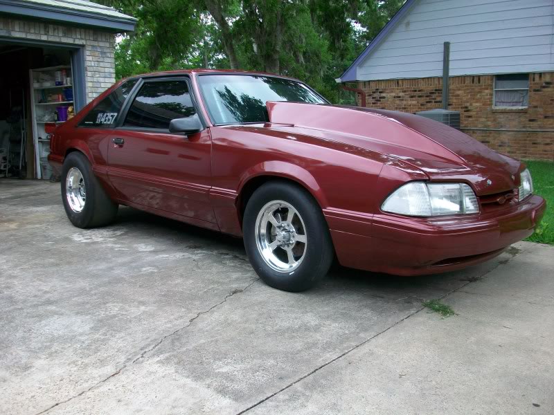 Mustang019.jpg