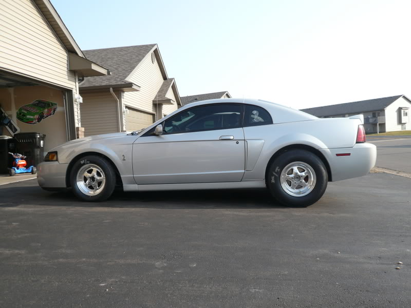 Mustang031.jpg