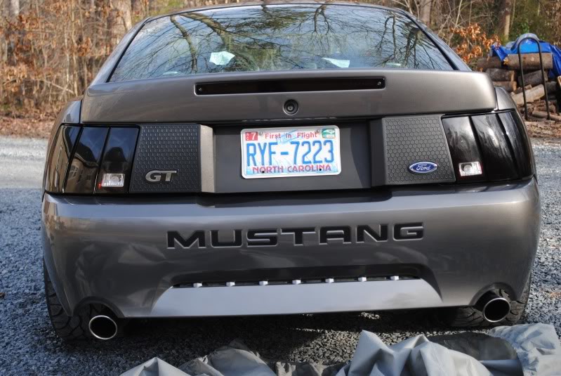 Mustang040.jpg