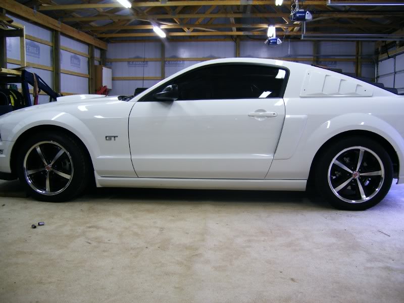 Mustang20Louver.jpg