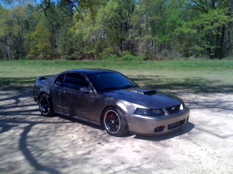 Mustang3.jpg
