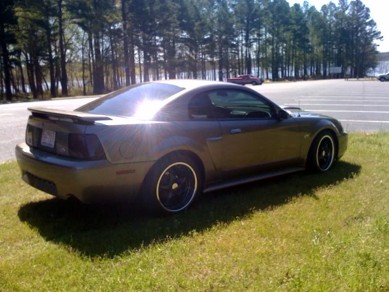 Mustang9.jpg
