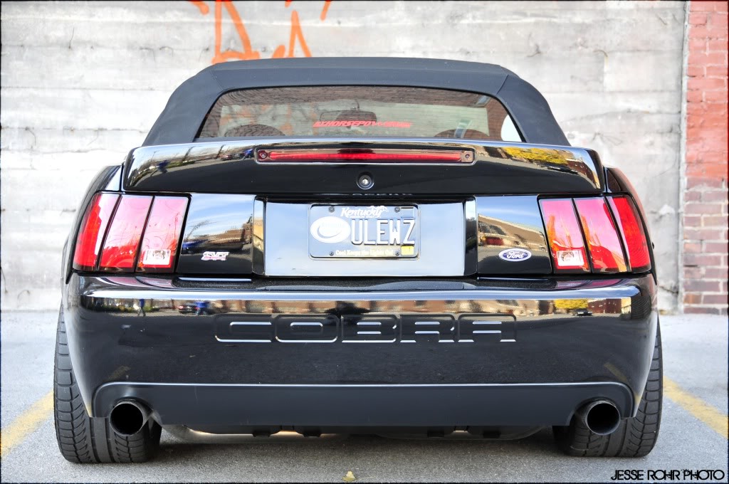 Mustangs114.jpg