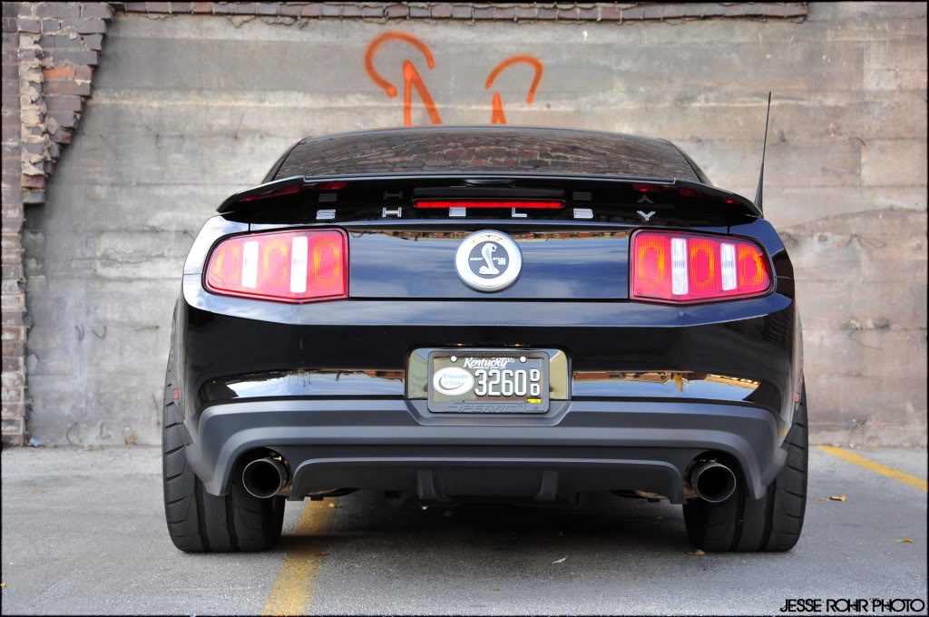 Mustangs138.jpg