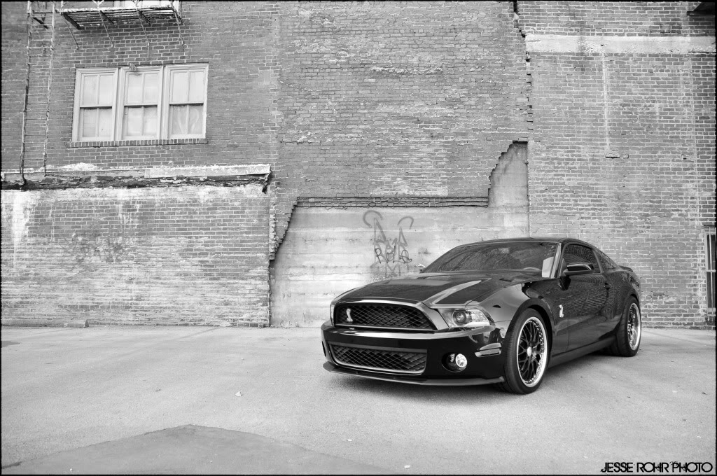 Mustangs144.jpg