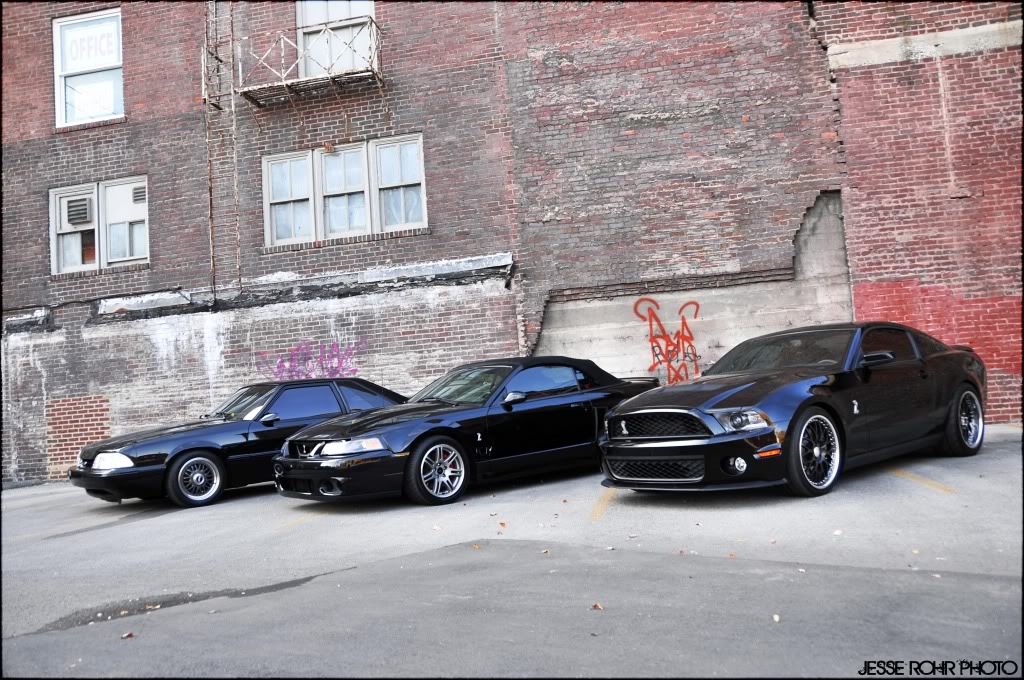 Mustangs157.jpg