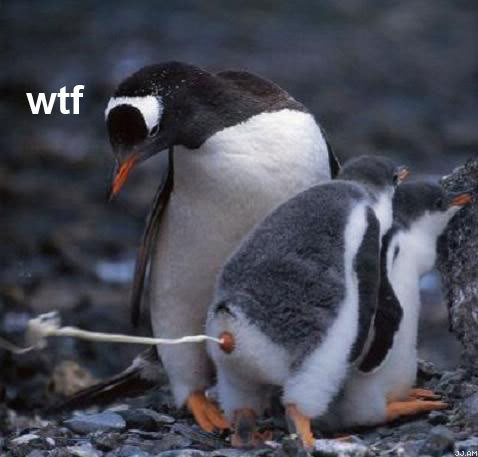 penguinsquirt.jpg