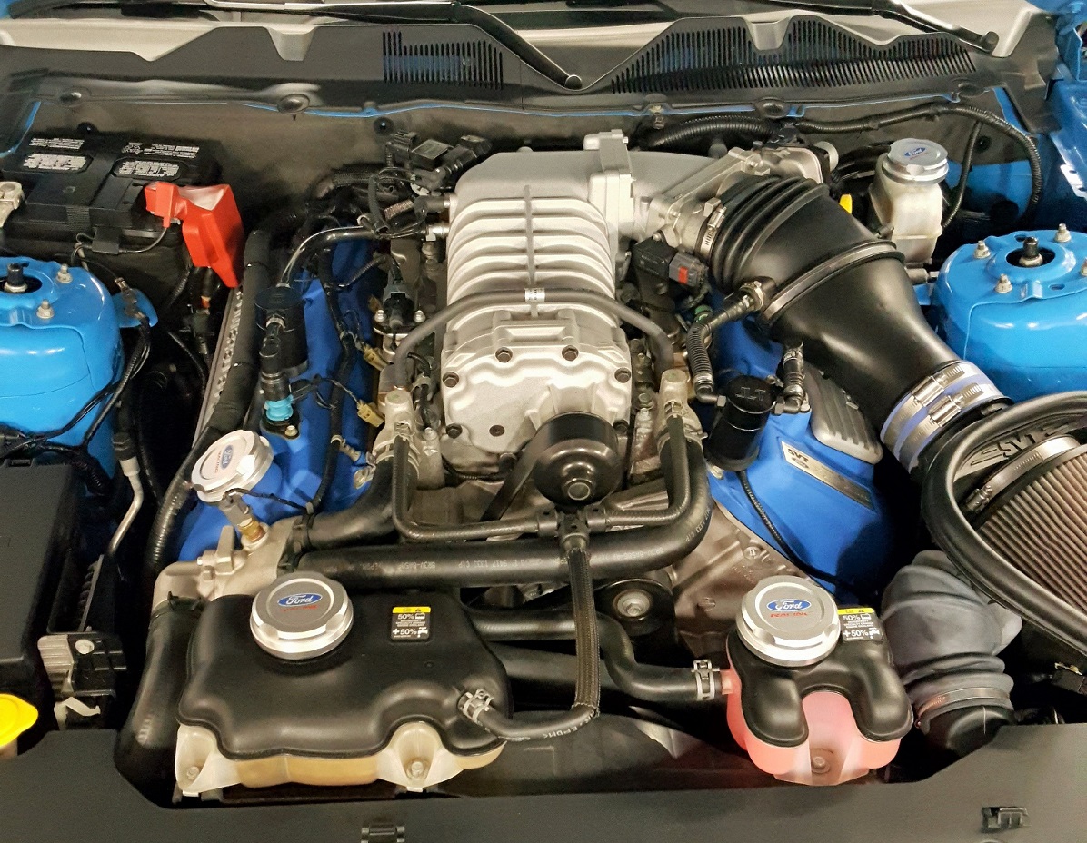 Shelby Engine 1 .jpg