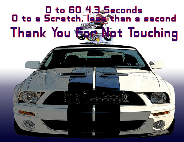 Shelby-Thank-you-for-not-touching_zps40405cbf.jpg