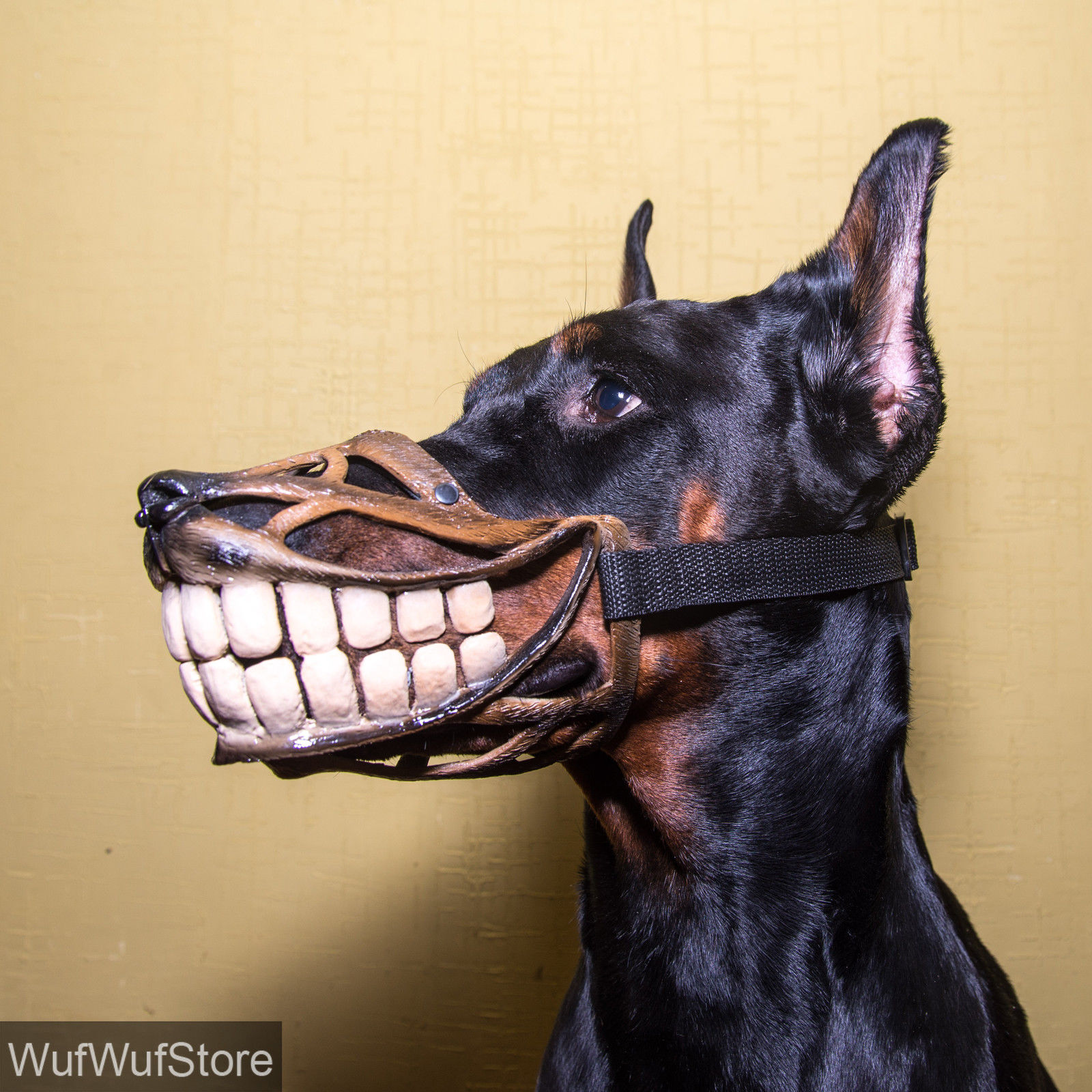 Smile-MUZZLEFunnyTeethWerewolf-MUZZLE-for-dogsDOBERMANfunny-dog-accessory-_57.jpg