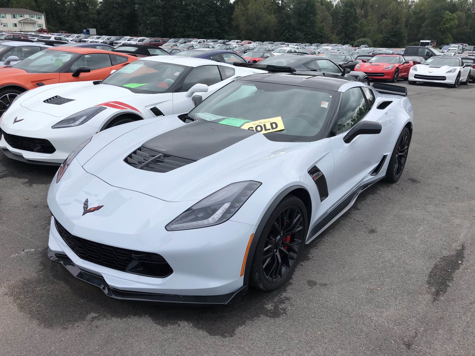 Sold Corvette.jpg