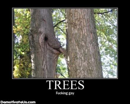 treesgay.jpg